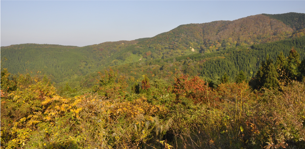 宝達山頂公園