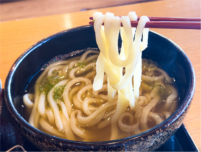 ハスネテラス うどん