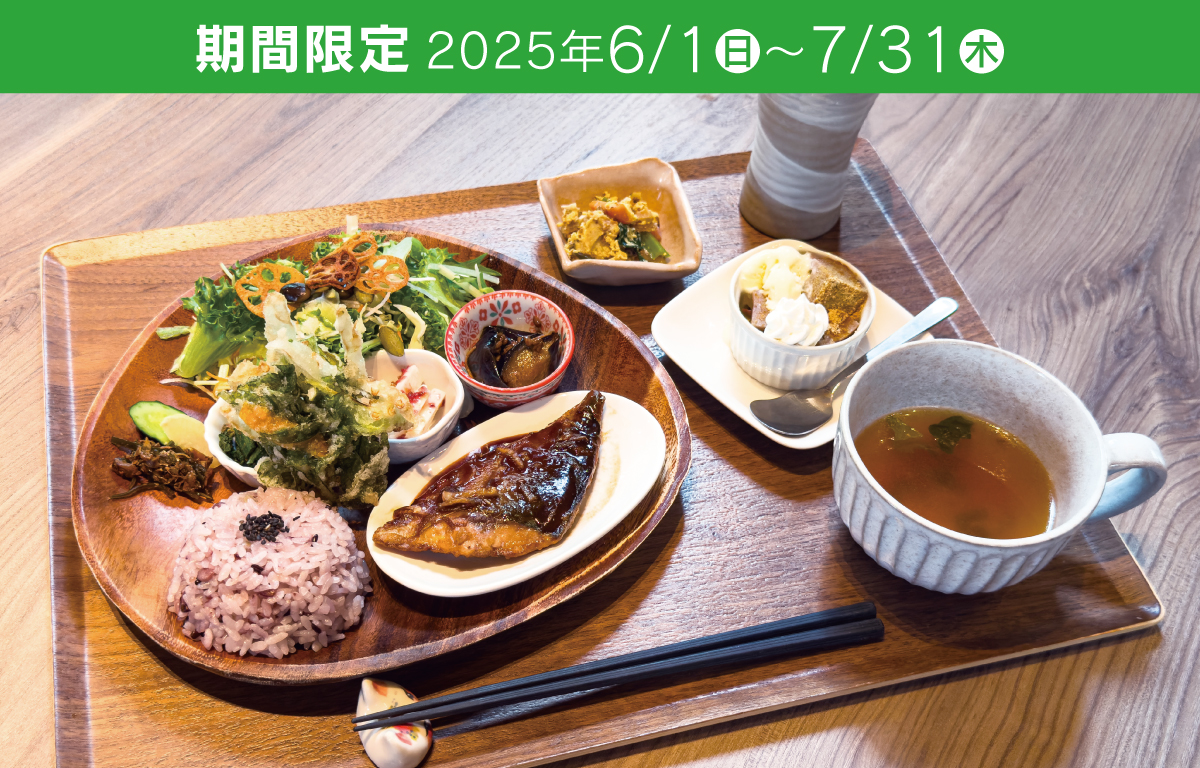 シャマロン　ワンプレートランチ
