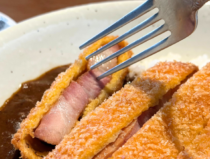 フリースタイル野々市店 燻製カツカレー