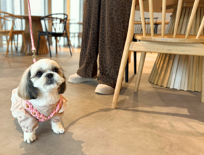 Organic Kitchen いずみのTERRACE 店内